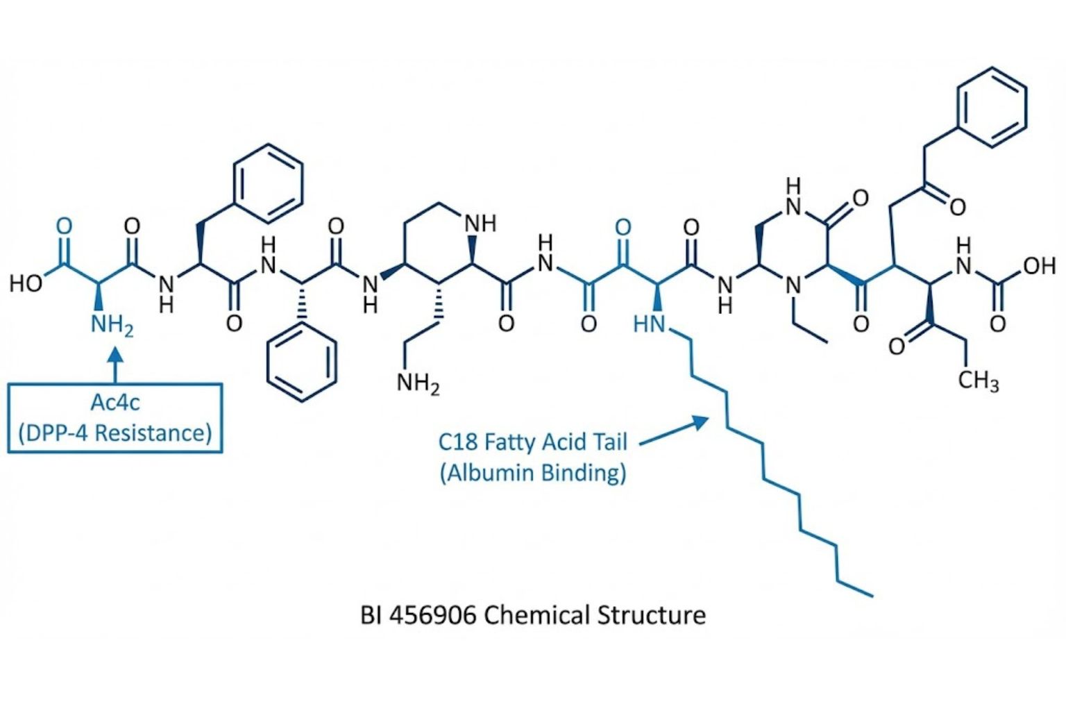 Survodutide mechanism of action