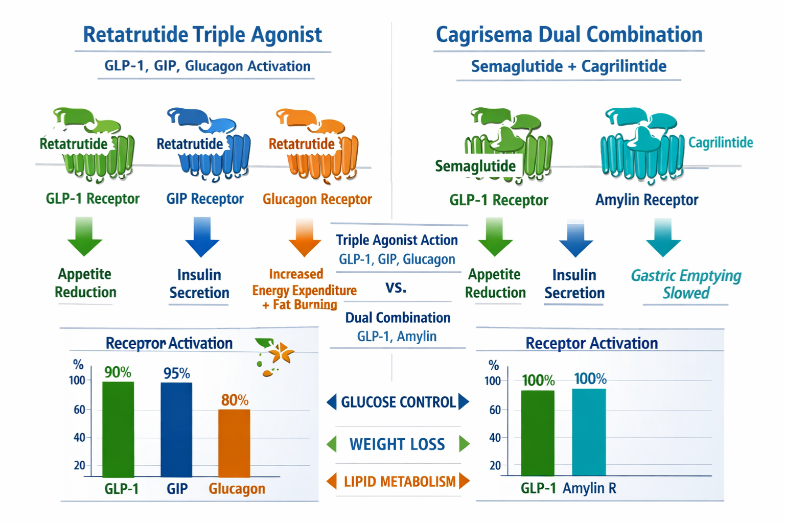 retatrutide vs cagrisema