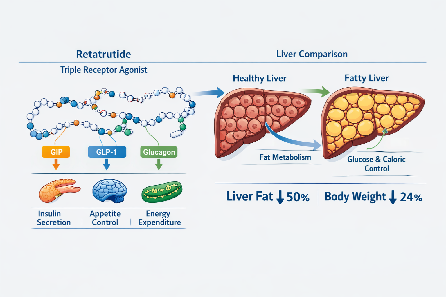 retatrutide fatty liver study